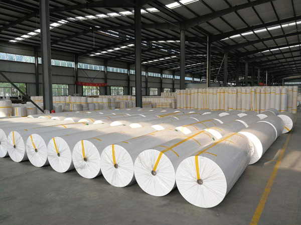 枫木镇狭缝式涤纶纺粘无纺布